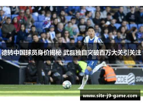 德转中国球员身价揭秘 武磊独自突破百万大关引关注