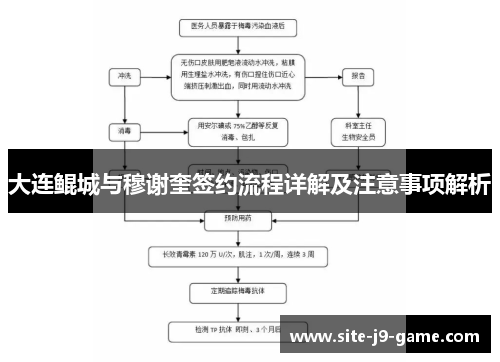 大连鲲城与穆谢奎签约流程详解及注意事项解析 大连鲲城与穆谢奎签约流程详解及注意事项解析