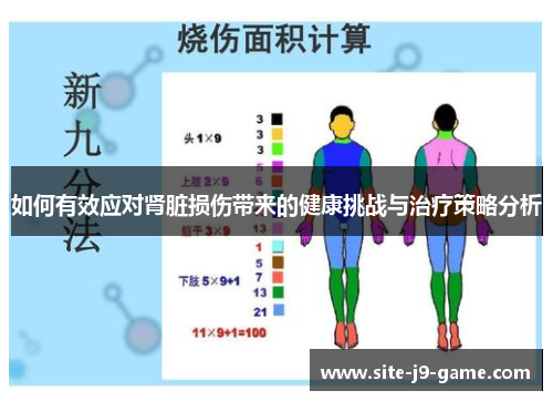 如何有效应对肾脏损伤带来的健康挑战与治疗策略分析 如何有效应对肾脏损伤带来的健康挑战与治疗策略分析