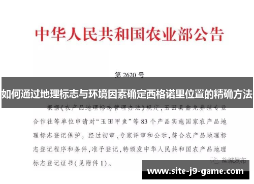 如何通过地理标志与环境因素确定西格诺里位置的精确方法 如何通过地理标志与环境因素确定西格诺里位置的精确方法